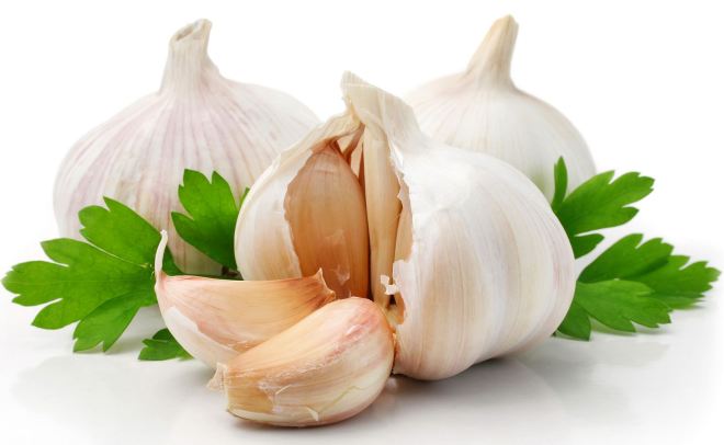 Preppers-Will-Garlic-Gardening-and-its-Benefits